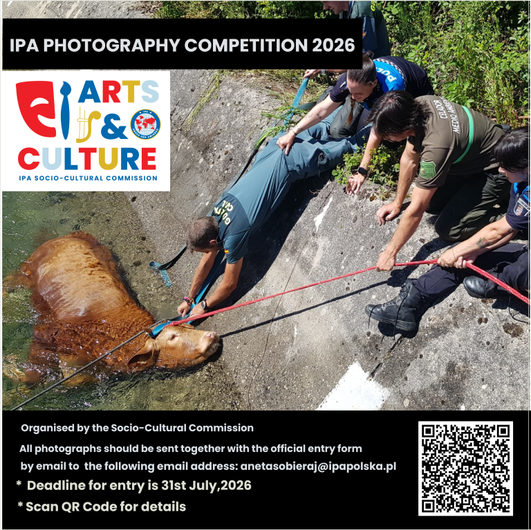 International Photo Competition 2026