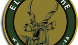 el-yolo-one el-yolo-one